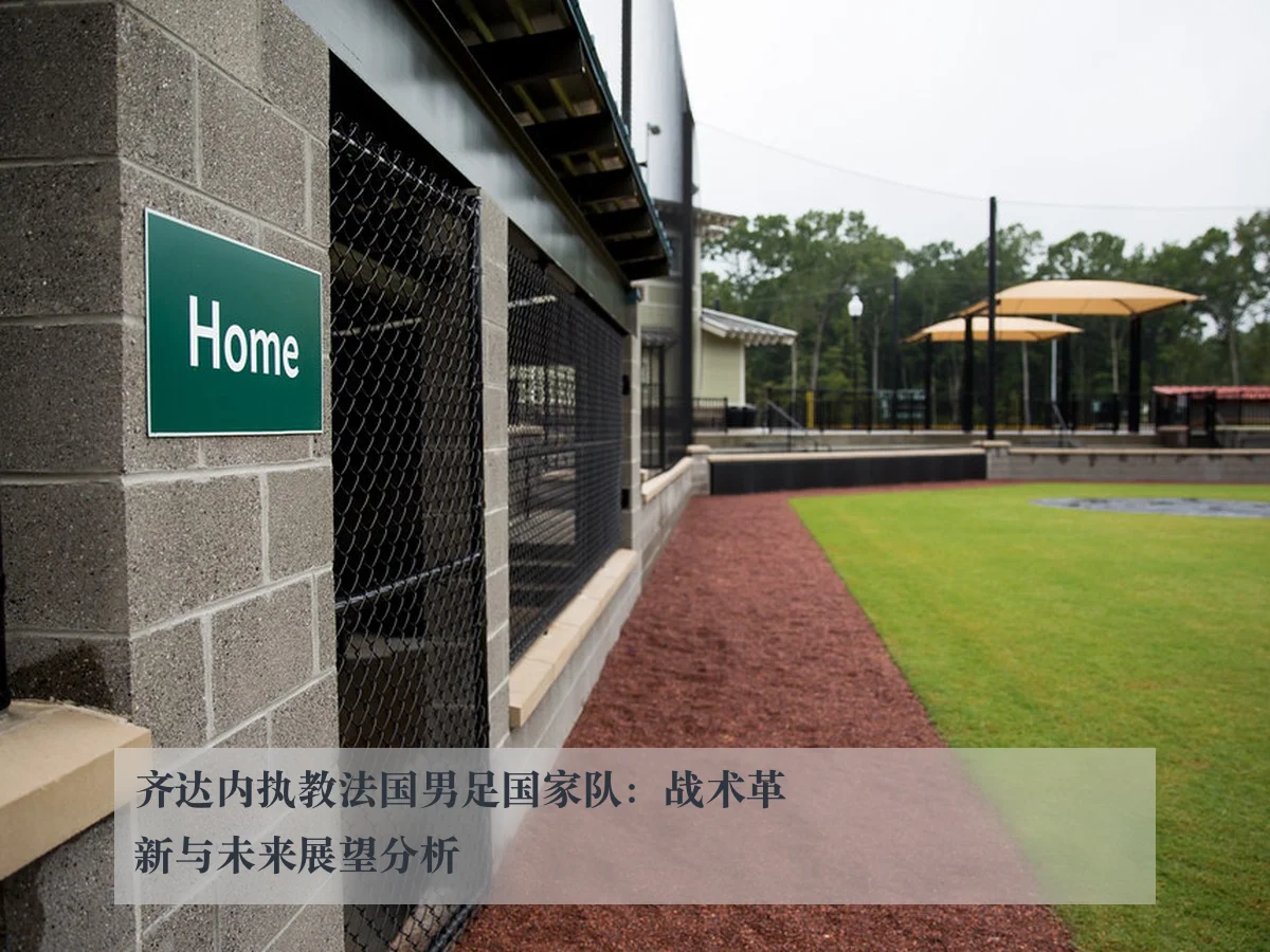 齐达内执教法国男足国家队：战术革新与未来展望分析
