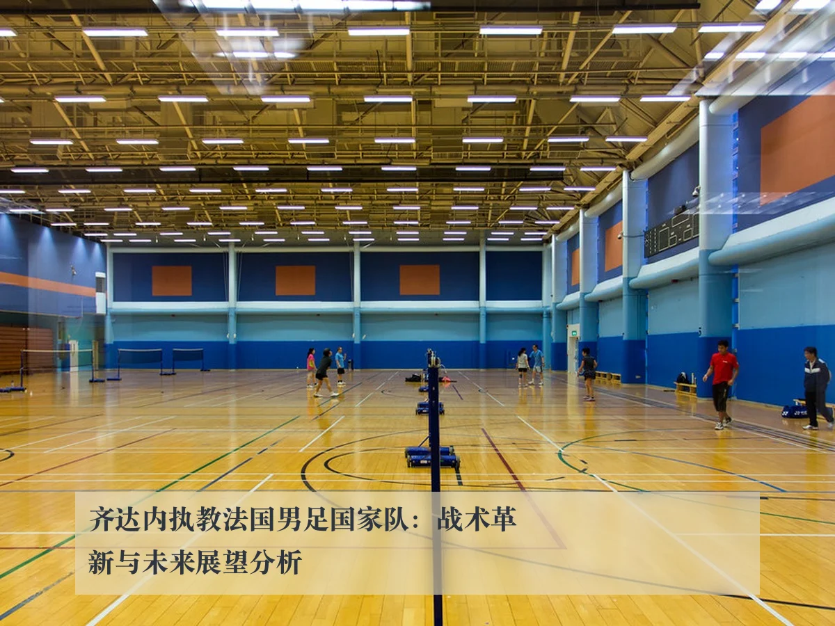 齐达内执教法国男足国家队：战术革新与未来展望分析